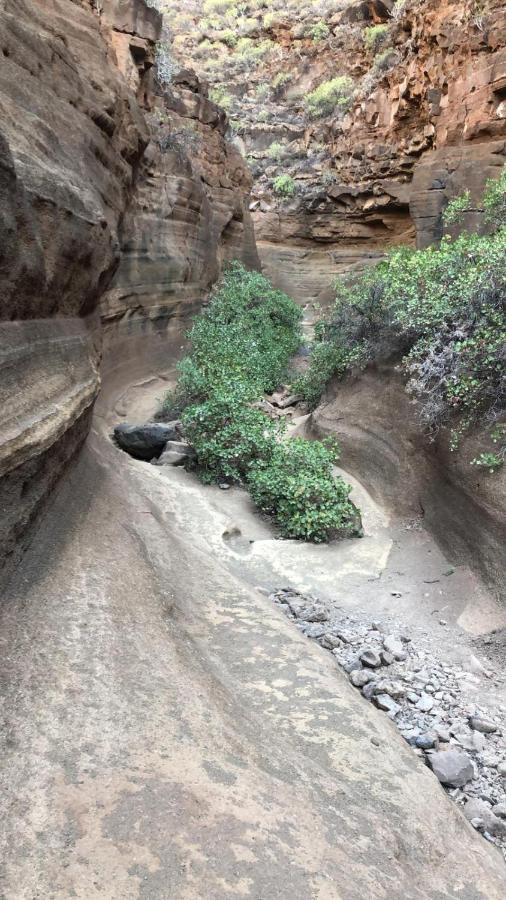 La Cuadra Finca El Calabres أغيميس المظهر الخارجي الصورة