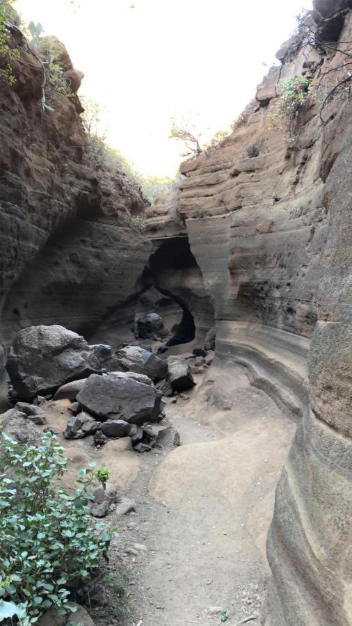 La Cuadra Finca El Calabres أغيميس المظهر الخارجي الصورة