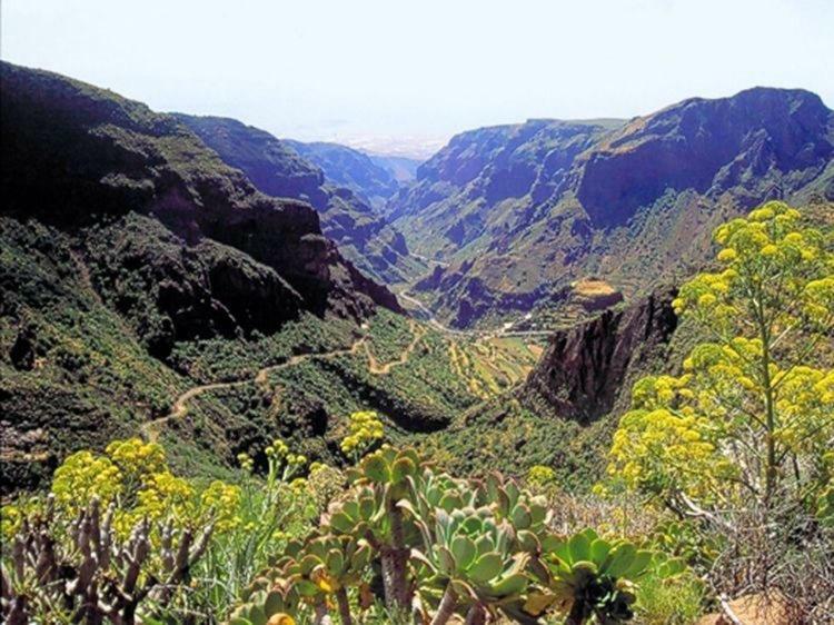 La Cuadra Finca El Calabres أغيميس المظهر الخارجي الصورة